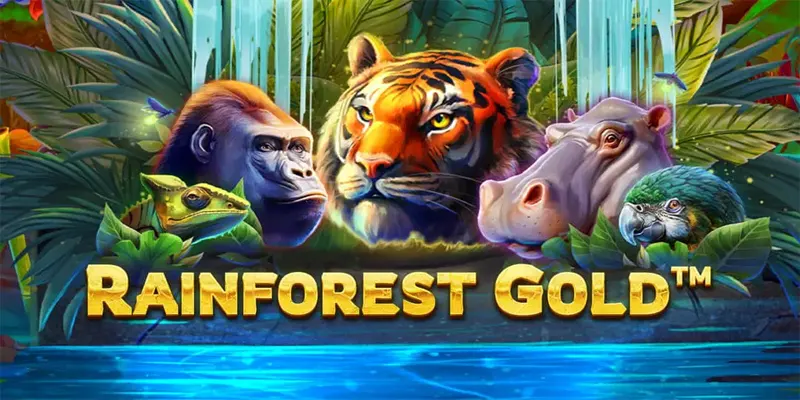 Rainforest Gold Slot: Jungle Adventure with Big Wins